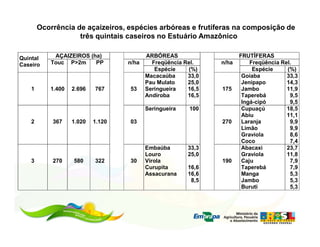 Ocorrência de açaizeiros, espécies arbóreas e frutíferas na composição de
                    três quintais caseiros no Estuário Amazônico

Quintal     AÇAIZEIROS (ha)             ARBÓREAS                    FRUTÍFERAS
Caseiro    Touc P>2m     PP        n/ha   Freqüência Rel.    n/ha       Freqüência Rel.
                                           Espécie    (%)                Espécie     (%)
                                        Macacaúba     33,0           Goiaba          33,3
                                        Pau Mulato    25,0           Jenipapo        14,3
    1      1.400   2.696   767      53 Seringueira    16,5   175     Jambo           11,9
                                        Andiroba      16,5           Taperebá         9,5
                                                                     Ingá-cipó        9,5
                                        Seringueira   100            Cupuaçú         18,5
                                                                     Abiu            11,1
    2       367    1.020   1.120   03                        270     Laranja          9,9
                                                                     Limão            9,9
                                                                     Graviola         8,6
                                                                     Coco             7,4
                                        Embaúba       33,3           Abacaxi         23,7
                                        Louro         25,0           Graviola        11,8
    3       270    580     322     30   Virola               190     Caju             7,9
                                        Curupita      16,6           Taperebá         7,9
                                        Assacurana    16,6           Manga            5,3
                                                       8,5           Jambo            5,3
                                                                     Buruti           5,3
 