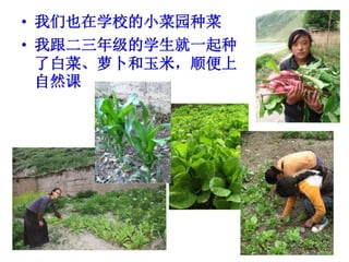 當批的改變+Compressed2