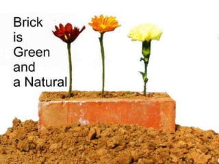 Brick  is  Green  and  a Natural 
