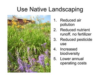 Use Native Landscaping Reduced air pollution Reduced nutrient runoff, no fertilizer  Reduced pesticide use Increased biodiversity Lower annual operating costs 
