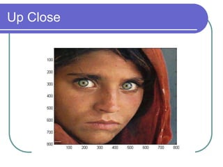 Up Close
 