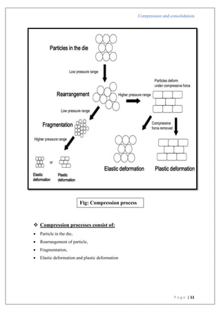 Compression and consolidation
P a g e | 11
 Compression processes consist of:
 Particle in the die,
 Rearrangement of particle,
 Fragmentation,
 Elastic deformation and plastic deformation
Fig: Compression process
 