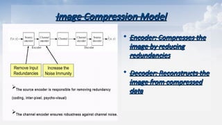 Image Compression Model
Image Compression Model
• Encoder: Compresses the
Encoder: Compresses the
image by reducing
image by reducing
redundancies
redundancies
• Decoder: Reconstructs the
Decoder: Reconstructs the
image from compressed
image from compressed
data
data
 