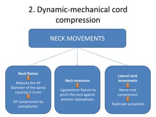 2. Dynamic-mechanical cord
compression
Neck flexion
Reduces the AP
diameter of the spinal
canal by 2-3 mm
AP compression by
osteophytes
Neck extension
Ligamentum flavum to
pinch the cord against
anterior osteophytes
Lateral neck
movements
Nerve root
compression
Radicular symptoms
NECK MOVEMENTS
 