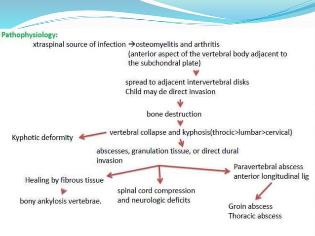 Compressive myelopathy - Etiology, Pathogenesis, Clinical Features ...