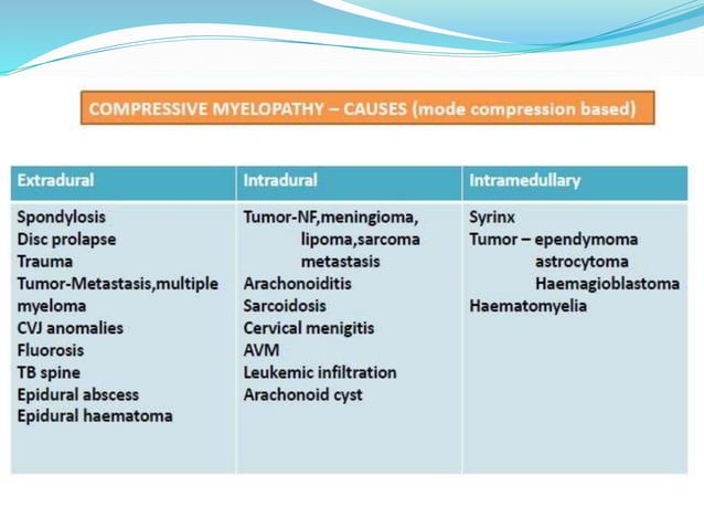 Compressive myelopathy - Etiology, Pathogenesis, Clinical Features ...
