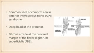 Compressive Neuropathy Chest Compressive Neuropathies of the Upper limb | PPT
