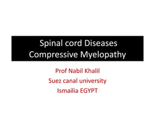 Spinal cord Diseases
Compressive Myelopathy
Prof Nabil Khalil
Suez canal university
Ismailia EGYPT

 