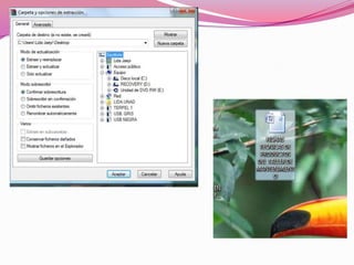 Comprimir y descomprimir_archivos