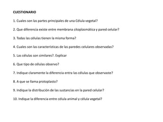 CUESTIONARIO1. Cuales son las partes principales de una Célula vegetal?2. Que diferencia existe entre membrana citoplasmática y pared celular?3. Todas las células tienen la misma forma?4. Cuales son las características de las paredes celulares observadas?5. Las células son similares?. Explicar6. Que tipo de células observo?7. Indique claramente la diferencia entra las células que observaste?8. A que se llama protoplasto?9. Indique la distribución de las sustancias en la pared celular?10. Indique la diferencia entre célula animal y célula vegetal?