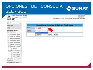 OPCIONES DE CONSULTA
SEE - SOL
201007
 