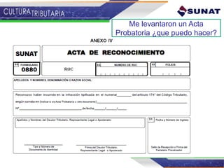 Me levantaron un Acta
Probatoria ¿que puedo hacer?
 