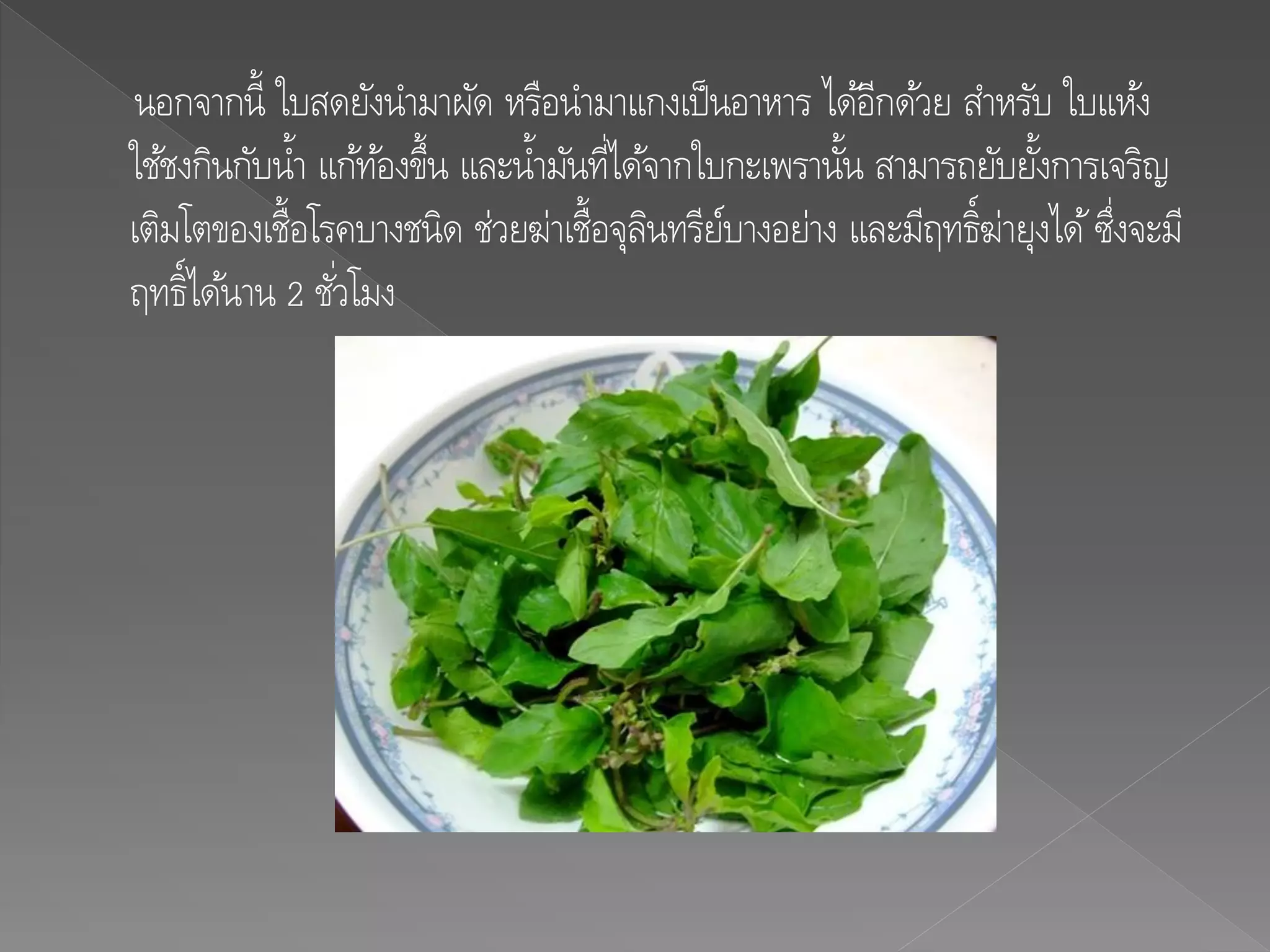 นอกจากนี้ ใบสดยังนามาผัด หรือนามาแกงเป็นอาหาร ได้อีกด้วย สาหรับ ใบแห้ง
ใช้ชงกินกับน้า แก้ท้องขึ้น และน้ามันที่ได้จากใบกะเพรานั้น สามารถยับยั้งการเจริญ
เติมโตของเชื้อโรคบางชนิด ช่วยฆ่าเชื้อจุลินทรีย์บางอย่าง และมีฤทธิ์ฆ่ายุงได้ซึ่งจะมี
ฤทธิ์ได้นาน 2 ชั่วโมง
 