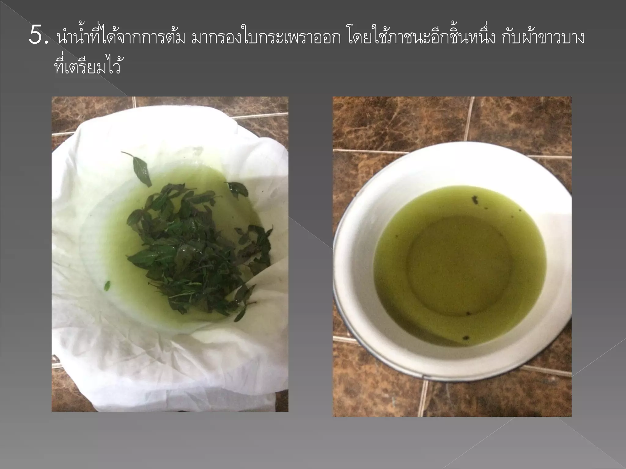 5. นาน้าที่ได้จากการต้ม มากรองใบกระเพราออก โดยใช้ภาชนะอีกชิ้นหนึ่ง กับผ้าขาวบาง
ที่เตรียมไว้
 