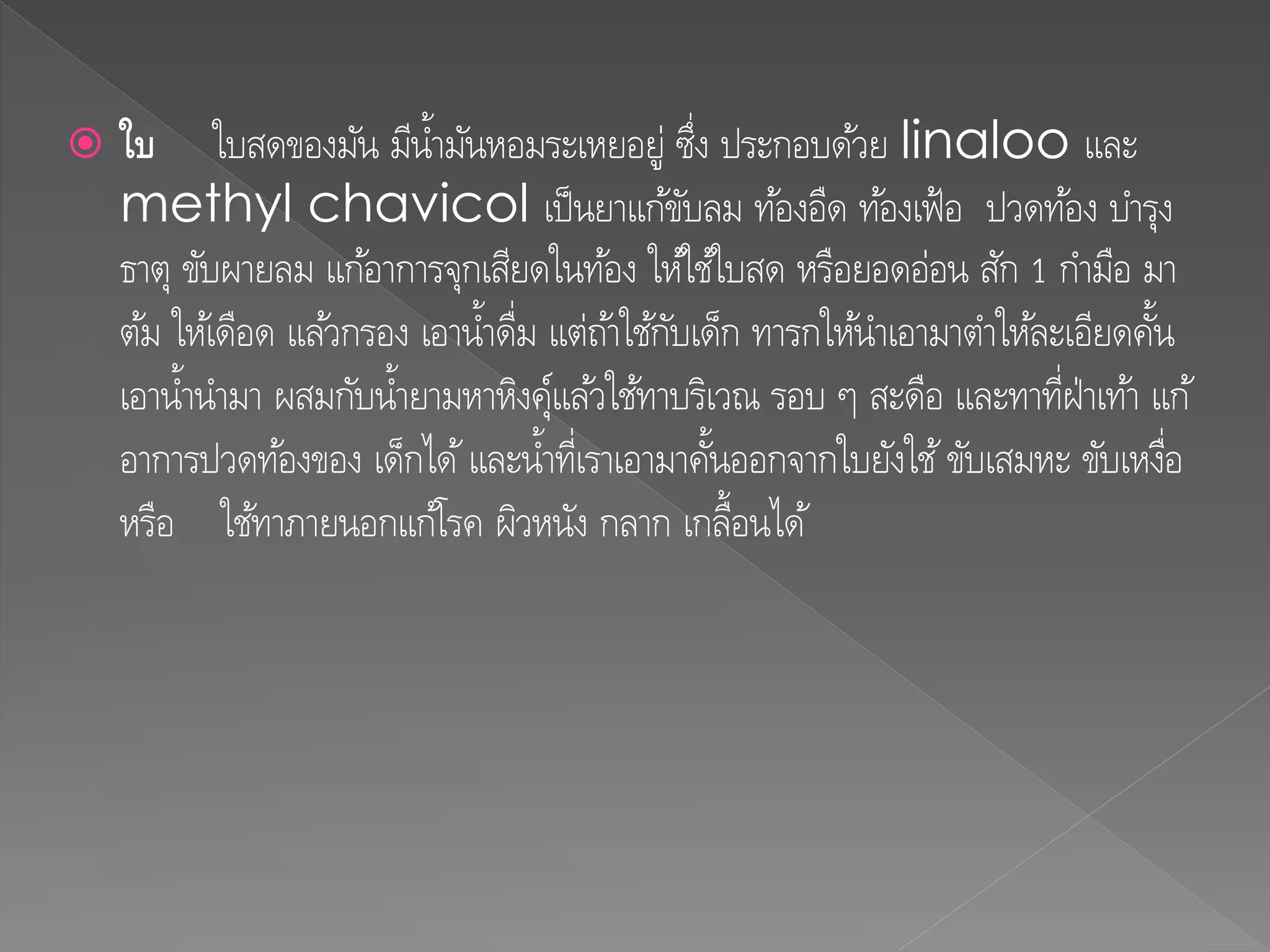  ใบ ใบสดของมัน มีน้ามันหอมระเหยอยู่ ซึ่ง ประกอบด้วย linaloo และ
methyl chavicol เป็นยาแก้ขับลม ท้องอืด ท้องเฟ้อ ปวดท้อง บารุง
ธาตุ ขับผายลม แก้อาการจุกเสียดในท้อง ให้ใช้ใบสด หรือยอดอ่อน สัก 1 กามือ มา
ต้ม ให้เดือด แล้วกรอง เอาน้าดื่ม แต่ถ้าใช้กับเด็ก ทารกให้นาเอามาตาให้ละเอียดคั้น
เอาน้านามา ผสมกับน้ายามหาหิงคุ์แล้วใช้ทาบริเวณ รอบ ๆ สะดือ และทาที่ฝ่าเท้า แก้
อาการปวดท้องของ เด็กได้และน้าที่เราเอามาคั้นออกจากใบยังใช้ขับเสมหะ ขับเหงื่อ
หรือ ใช้ทาภายนอกแก้โรค ผิวหนัง กลาก เกลื้อนได้
 
