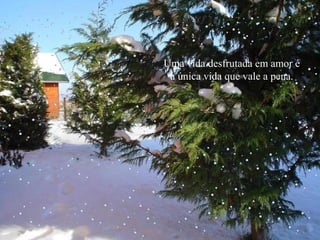 Uma vida desfrutada em amor é
a única vida que vale a pena.

 