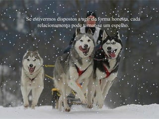Se estivermos dispostos a agir de forma honesta, cada
relacionamento pode tornar-se um espelho.

 