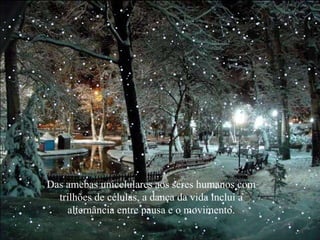 Das amebas unicelulares aos seres humanos com trilhões de células, a dança da vida inclui a alternância entre pausa e o movimento. 