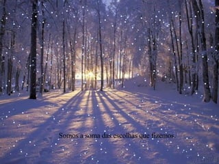 Somos a soma das escolhas que fizemos. 