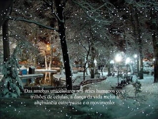 Das amebas unicelulares aos seres humanos com trilhões de células, a dança da vida inclui a alternância entre pausa e o movimento. 