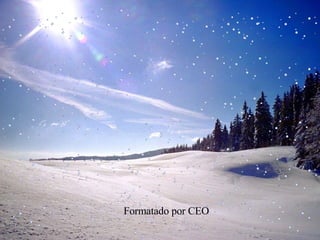 Formatado por CEO 