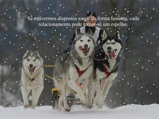 Se estivermos dispostos a agir de forma honesta, cada relacionamento pode tornar-se um espelho. 