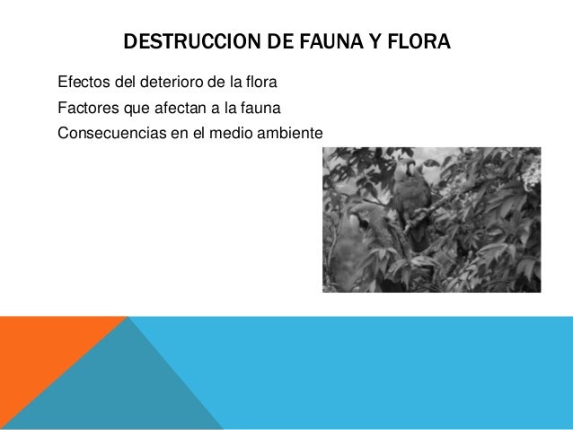 Compromiso con el entorno social y natural