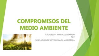 COMPROMISOS DEL
MEDIO AMBIENTE
GREYS IVETH MARCIALES ALVARADO
10 B
ESCUELA NORMAL SUPERIOR MARIA AUXILIADORA
 