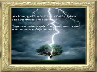 Não há compromisso mais eficiente  e duradouro do que aquele que firmamos com a consciência... Se queremos realmente mudar, transformar, crescer, evoluir, temos um encontro obrigatório com ela...   