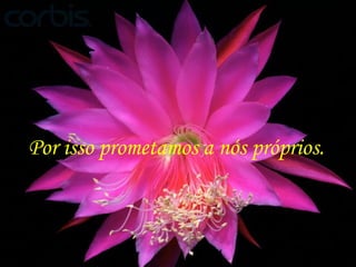 Por isso prometamos a nós próprios. 