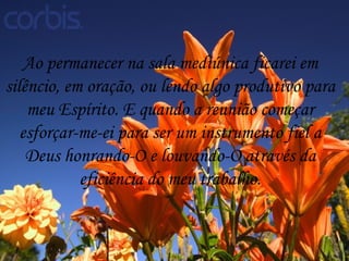 Ao permanecer na sala mediúnica ficarei em  silêncio, em oração, ou lendo algo produtivo para  meu Espírito. E quando a reunião começar  esforçar-me-ei para ser um instrumento fiel a  Deus honrando-O e louvando-O através da  eficiência do meu trabalho.  