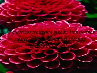 Se queremos realmente mudar, transformar, crescer, evoluir, temos um encontro  obrigatório com ela.  