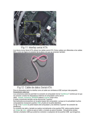 Los discos duros Serial ATA utilizan los cables serial ATA. Estos cables son diferentes a los cables
IDE y como es lógico el conector de la placa a la que se conectan también




Para la disquetera tanto la interfaz como el cable son similares al IDE aunque más pequeño.
Conectores externos:
Los conectores externos permiten la conexión al computador de los "periféricos" nombre por el que
se conocen a todos los dispositivos externos al computador como son el
ratón, teclado, impresora, MODEM externo scanner entre otros.
A estas conexiones también se les denominan "puertos".
Normalmente se encuentran en la parte trasera del computador, aunque en la actualidad muchos
computadores incorporan puertos USB y Audio en la parte delantera.
La fig 13 se muestra la parte trasera del computador y los distintos "puertos" de conexión de
periféricos.
La conexión de ratón y teclado se realiza normalmente a los puertos PS2, estos puertos tienen
un código de color, verde es para el ratón y morado es para el teclado. Actualmente existen
ratones y teclados USB que podemos conectar a cualquiera de los puertos USB que tengamos.
 