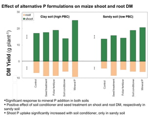 Effect of alternative P formulations on maize shoot and root DM <ul><li>Significant response to mineral P addition in both...