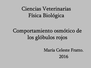 Ciencias Veterinarias
Física Biológica
María Celeste Fratto.
2016
Comportamiento osmótico de
los glóbulos rojos
 