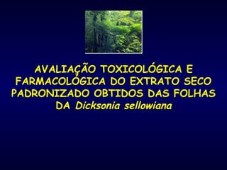 AVALIAÇÃO TOXICOLÓGICA E FARMACOLÓGICA DO EXTRATO SECO PADRONIZADO OBTIDOS DAS FOLHAS DA  Dicksonia sellowiana 
