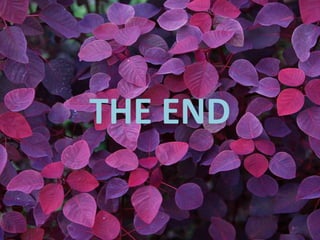 THE END
 
