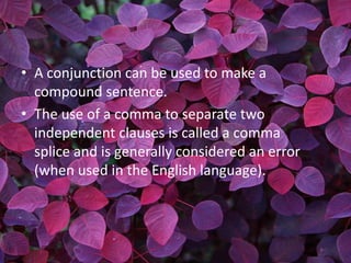 • A conjunction can be used to make a
  compound sentence.
• The use of a comma to separate two
  independent clauses is called a comma
  splice and is generally considered an error
  (when used in the English language).
 