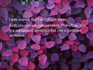 • I was scared, but I didn't run away.
  Both clauses are independent. Therefore, this
  is a compound sentence but not a complex
  sentence.
 