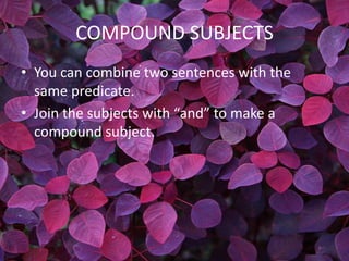 COMPOUND SUBJECTS
• You can combine two sentences with the
  same predicate.
• Join the subjects with “and” to make a
  compound subject.
 