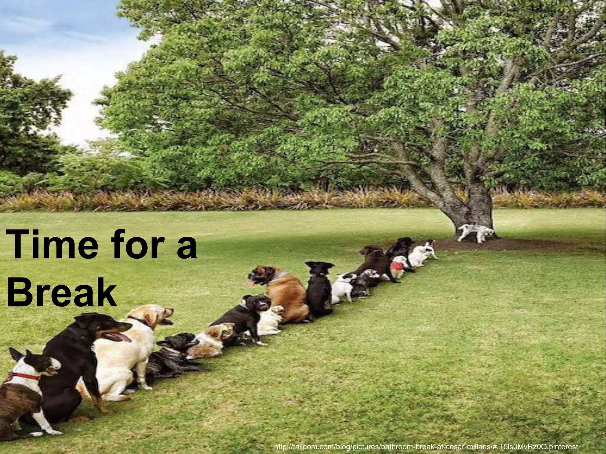 Time for a
Break


             http://taildom.com/blog/pictures/bathroom-break-at-cesar-millans/#.T5ls0MvRz0Q.pinterest
 