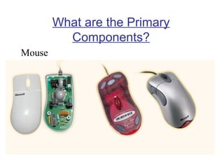 What are the Primary
Components?
Mouse

 