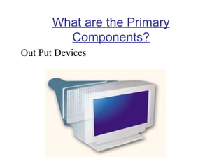 What are the Primary
Components?
Out Put Devices

 