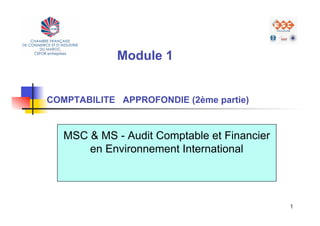 Module 1


COMPTABILITE APPROFONDIE (2ème partie)


   MSC & MS - Audit Comptable et Financier
       en Environnement International




                                             1
 