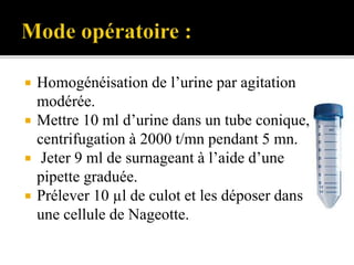  Homogénéisation de l’urine par agitation
modérée.
 Mettre 10 ml d’urine dans un tube conique,
centrifugation à 2000 t/mn pendant 5 mn.
 Jeter 9 ml de surnageant à l’aide d’une
pipette graduée.
 Prélever 10 µl de culot et les déposer dans
une cellule de Nageotte.
 