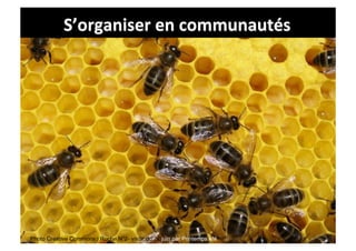 S’organiser	
  en	
  communautés	
  




Photo Creative Commons : Ruche N°2- visite du 21 juin par Printemps été
 