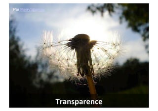 Par MerrySparrow




                   Transparence	
  
 