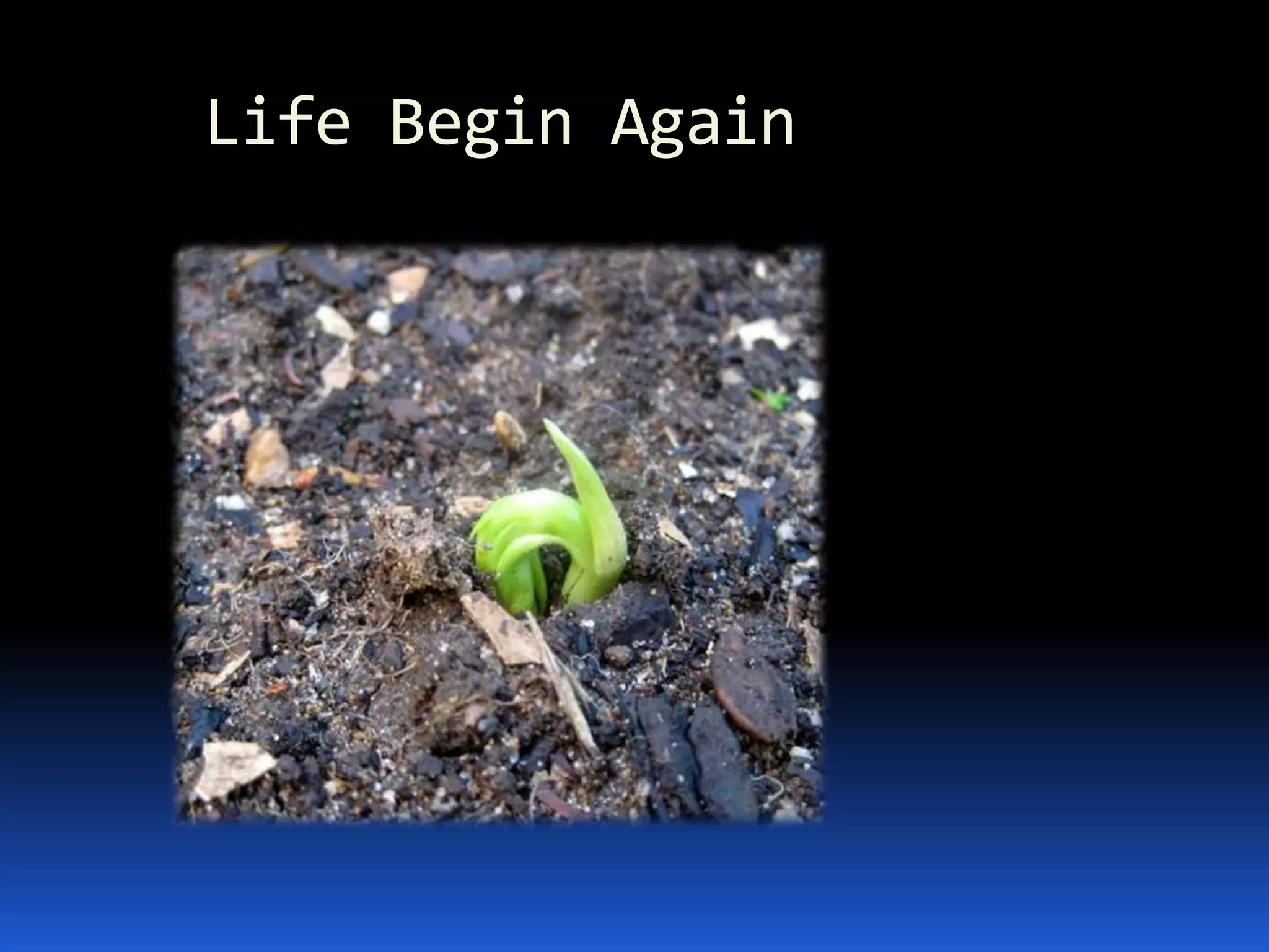  Crushing device break down larger size waste items to appropriate size.