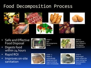 Food Decomposition Process Safe and Effective Food Disposal