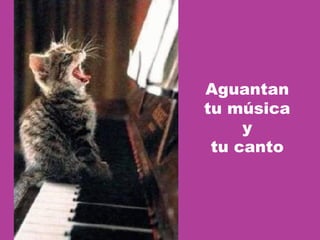 Aguantan tu música y tu canto 